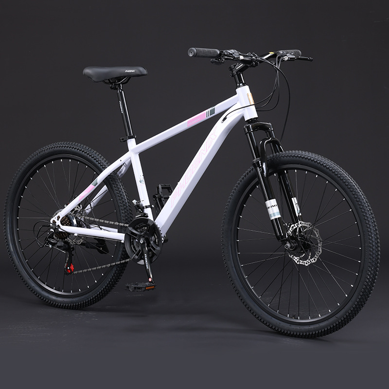 Steel Frame Spoke Wheel-White Powder-24 Inch-24 Speed