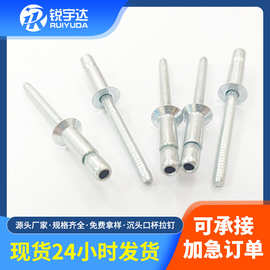 定制新能源口杯型拉丝铆钉沉头内锁抽芯铆钉铝铁4.8-12内锁拉钉