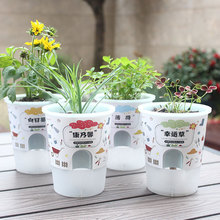 ��С��С�W��DIY�Nֲ���ԾW�tף���^��ֲ�����L�lѿ�Gֲ����Y��