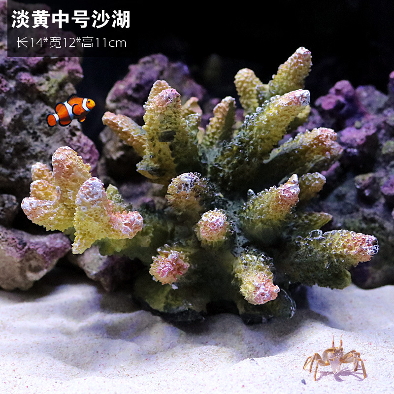 珊瑚1707