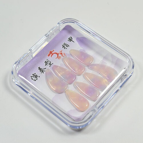 Guzheng Nail Box Guzheng Pipa Nail Transparent Display Box Storage Box