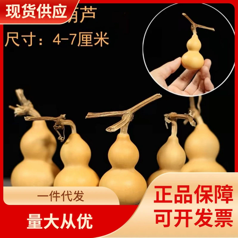 YKS маленькая тыква натуральная тыква ручная кручка играть маленькая тыква