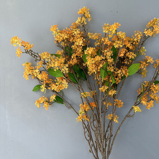 ����𻨷��滨��c��ˇ�𻨘��c���߷���ѩ�������ļ���Gֲ