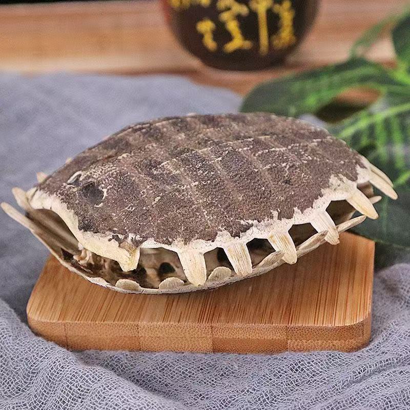 Bie Jia (Trionyx sinensis) Dried Turtle Shell Pieces — Traditional Chinese Herb, 500g in use