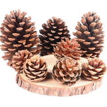 天然松果松塔装饰手工diy材料包干花摆件天然环创材料圣诞松果