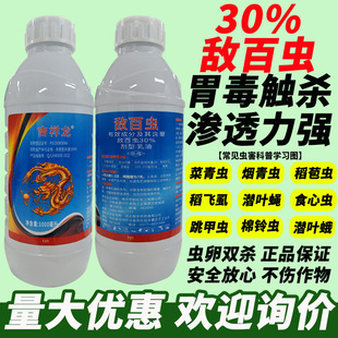 30%�����x���x���x���p�������x���~�����~ω�����x���ϵ��º��x