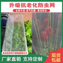 40Ŀ60Ŀȫ���ϴ�����x�W�Bֳ�W�߲˹��仨�ܲ˵ط��o�W���܇��W