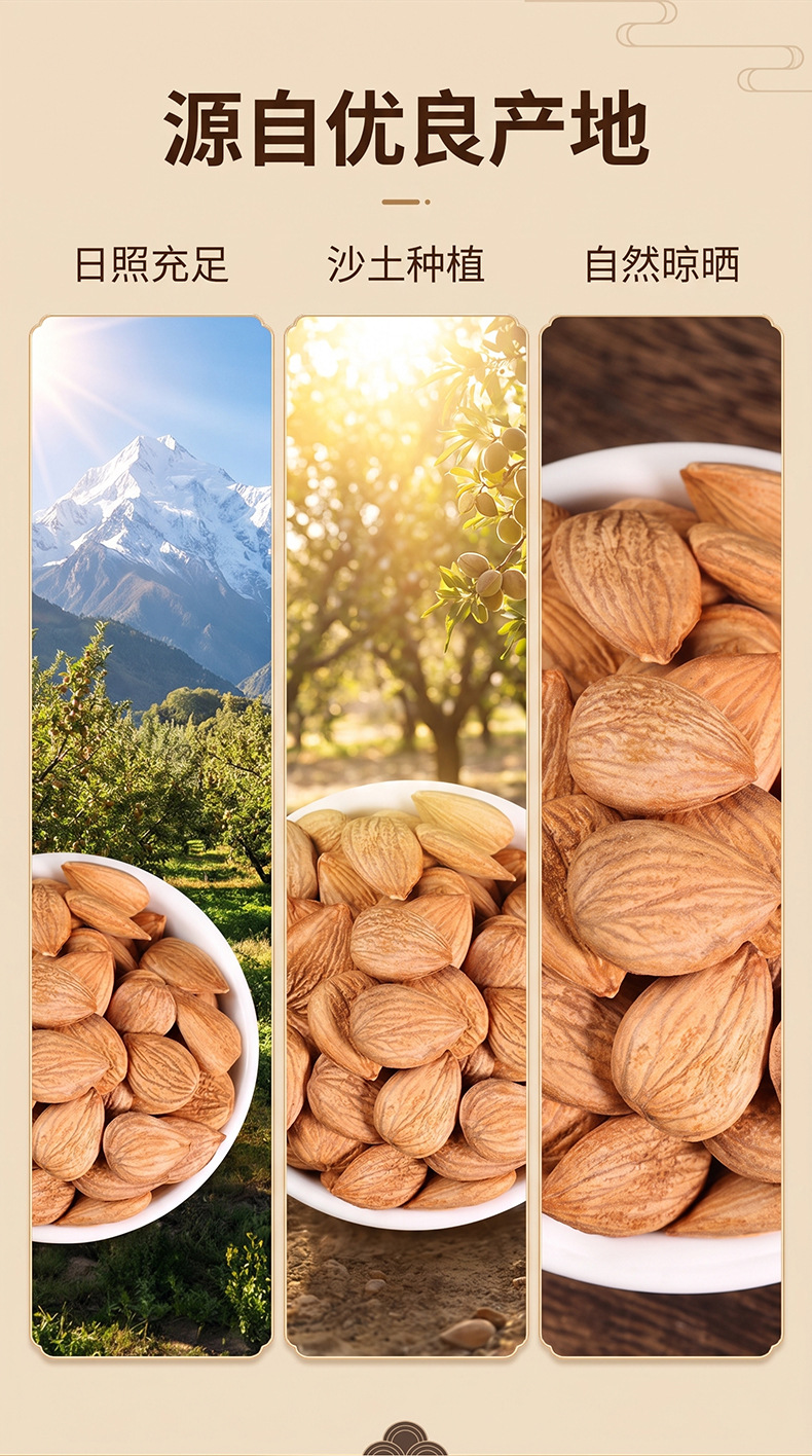 Premium Chinese Almond Kernels Xing Ren Prunus armeniaca Dried Seeds for Herbal Tea and Culinary Use 100g quality and texture