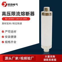 ����ʽ�߉������۔���XRNT-12KV125-200A�߉������۔���