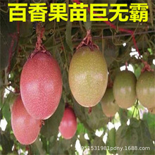 �J��9̖�S��t����������������3��һ���ϱ���ͥԺ�̨���Գ��G