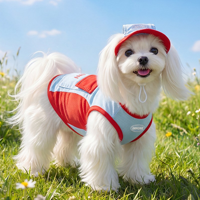 Primavera y verano perros tracción bolsa de hielo sandalias chaleco gato ropa de perro pequeño y mediano que oso ropa de mascota