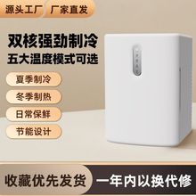 12L车载迷你小冰箱12v车家两用小型冷藏化妆品母乳宿舍电子冷暖箱