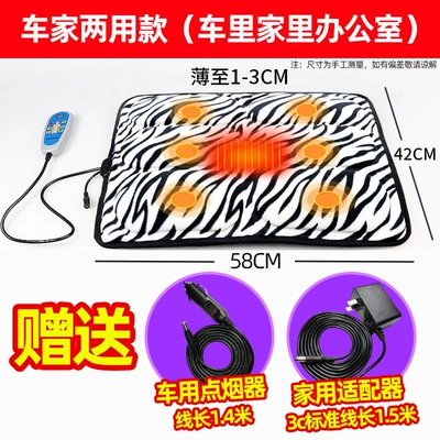 Heating Pad, Electric Multifunctional Massage Cushion | Masaj avadanlığı - leopard-print-car-and-home-dual-use-model-car-plug-home-plug