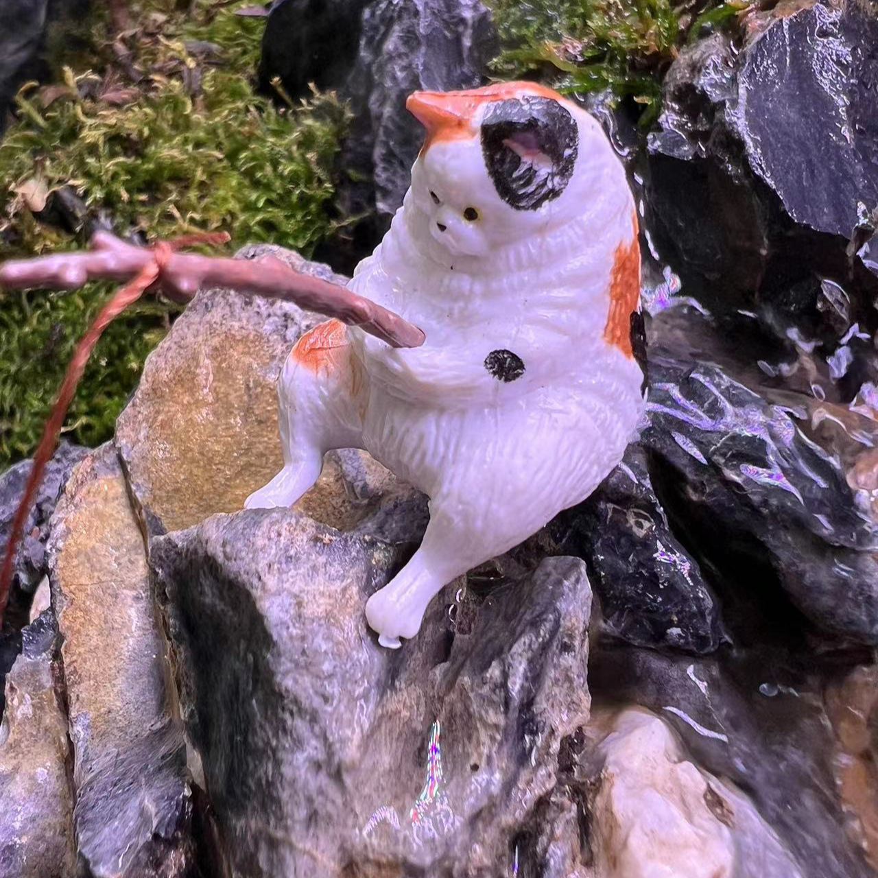 Котенок ловят черный желтый и белый