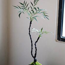 �K̫�Gֲ ̦�\������ ������ʽ����l���g΢�辰��������Gֲ