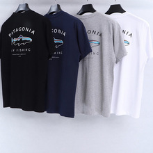 �¿��ļ��n�泱��Pata������ĸT��͹��\�ӈA�I�r����H���侫��