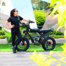 New Powerful Single/Dual Motor Off Road ebike Electric Bike