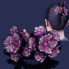 ˮ荰lץ̖PlnAlӰlAŮ^XAݿ