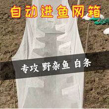 �Ԅ��M�~���~�W�������ްחl���q�S���~�����N�~1.2�׌�1.2�׸�