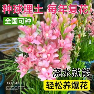 ������N���ذꮔ���_��ҹ��������Ͷ������л�ͥԺ�̨��������