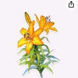 趣味贴纸    花