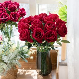 �S�ҷ���õ�廨��c��Ʒ����ֲ��q��õ��ٻ��Ҿ��b�ˇƷ���l