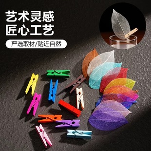 ✅ Bar Drink Cocktail Decoration Maple Leaf Bamboo Leaf Dried Flower Leaf Cocktail Decoration Wine Glass Pick Wine Pick Plant