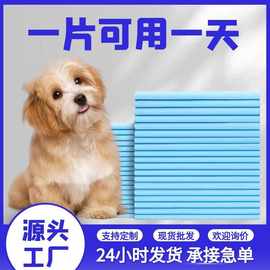 狗狗尿垫加厚除臭吸水尿纸宠物尿垫泰迪尿不湿尿布隔尿垫定制批发