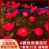 Red roses [1 set of 20 pieces] (built-in transformer, order in multiples of 20)