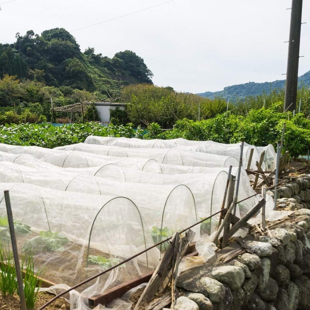DIY菜地花园蚊帐庭院防蚊虫网罩防蚊植物屏障网高架床屏网蚊帐