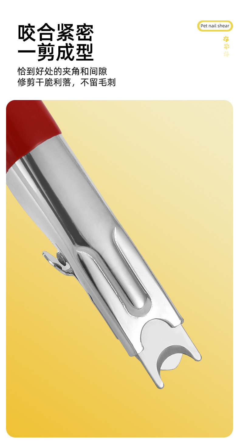 900ea0d0-1059-42b8-aa36-cbd4d4495dd0.jpe