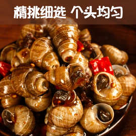 麻辣田螺熟食袋装500g香辣螺丝商用嗦螺儿时零食螺蛳饭店开袋即食
