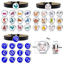 ��ͨʮ����Ф��� ���z�N����Ф���� DIY�֭h ���������Ʒ���