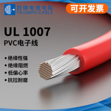 F؛UL1007Ӿa~о늉300VhOȲBӾ