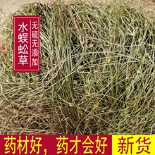 ˮ���� ����� ɢ���� һ���� ���v�� ��~�� ������؛��؛