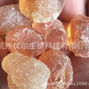 ʳƷ���턩�������z�� GUM ARABIC ���ڼ�