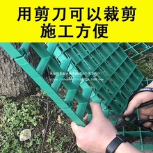 树篦子树池塑料格栅护树板树坑盖板树穴地网树池树脂网格市政绿化