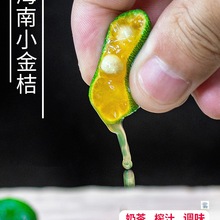 海南小金桔新鲜水果5斤青金桔柠檬 小青柑奶茶搭档橘子整箱包邮5
