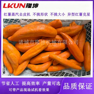 隆坤一机多用番茄蒸汽去皮机 番茄丁加工流水线设备 全自动脱皮机