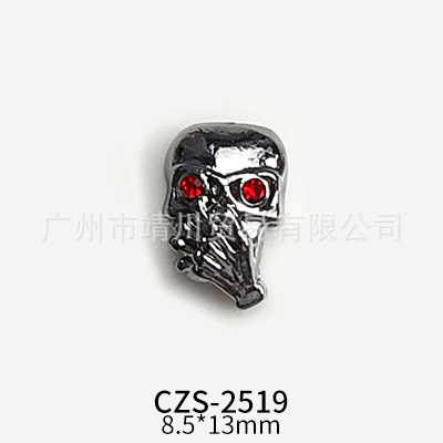 ZS-2519