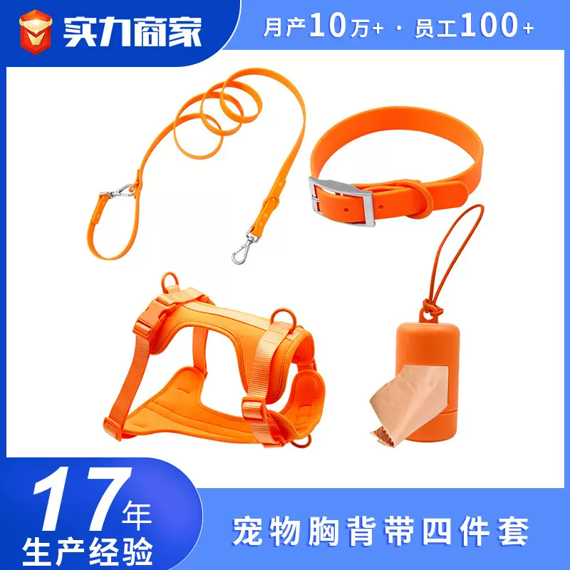 跨境新款宠物胸背四件套PVC狗项圈牵引宠物小型犬牵引绳套装