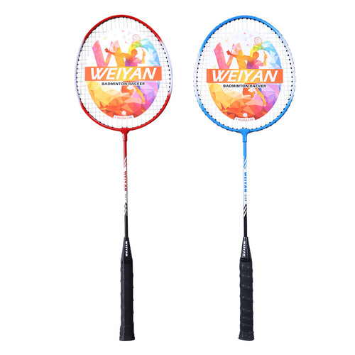 Wuyan Badminton Racket Set of 2 for Adults Students Recreation Practice Durable for Beginners, Separate for Men and Women