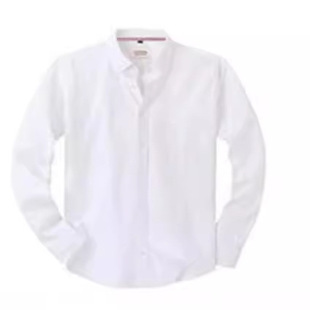 Amazon Cross-Border Hot Selling New Men's Solid Color Long-Sleeved Shirt Business Slim Fit No-Iron Men's Clothing