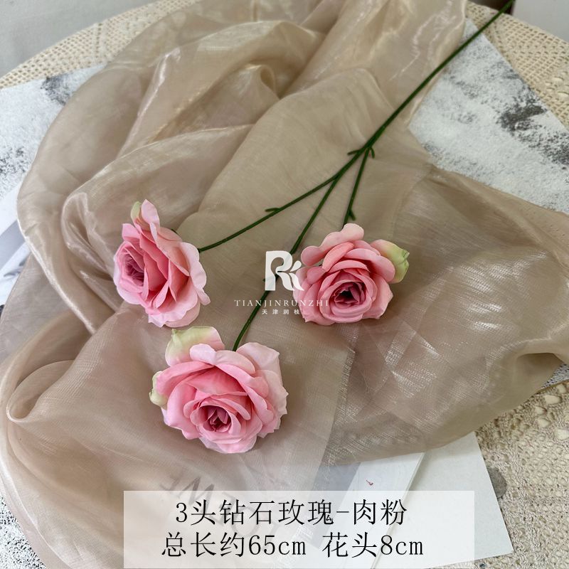 일반 다이아몬드 로즈 파우더