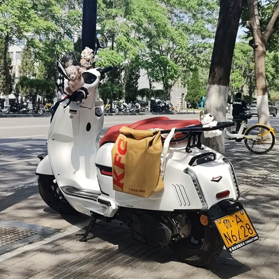 Electric car tail box Side Bag Electric Battery - waterproof-inner-liner-with-tie-kfc-default-item