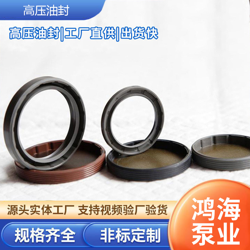 耐高温高压液压支架齿轮泵密封圈油泵密封机械骨架油封机械密封件