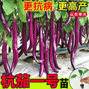 �߮a������������һ̖���������L����A�����ļ��Nֲ�����߲���