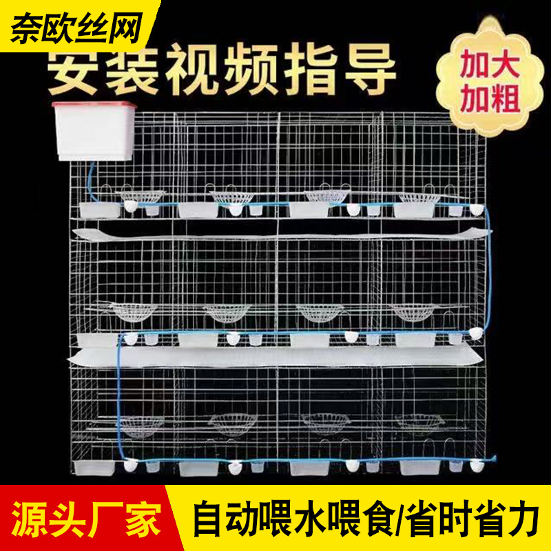 鸽子用品用具4层16位养殖鸽子笼肉鸽笼种鸽繁殖配对加粗养殖笼具