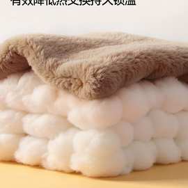 电动车挡风被冬季加绒加厚电瓶摩托车防水防风罩春秋四季通用新款