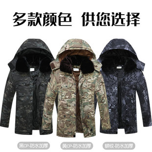 �Բ��޷������ж������L��ӽq�Ӻ������ҹ�ڱ�Ů܊�������\����